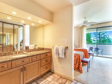 Kapalua Condo 896358